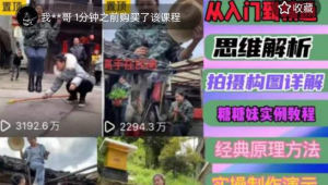 东方糖糖妹抖音短视频全套实战课思维+拍摄+剪辑+运营,从入门到精通悠闲躺赢-副业项目-互联网创业-资源整合悠闲躺赢