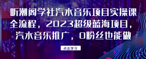 听潮阁学社汽水音乐项目实操课全流程，2023超级蓝海项目，汽水音乐推广，0粉丝也能做！悠闲躺赢-副业项目-互联网创业-资源整合悠闲躺赢