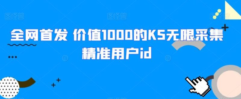 全网首发 价值1000的KS无限采集精准用户id悠闲躺赢-副业项目-互联网创业-资源整合悠闲躺赢